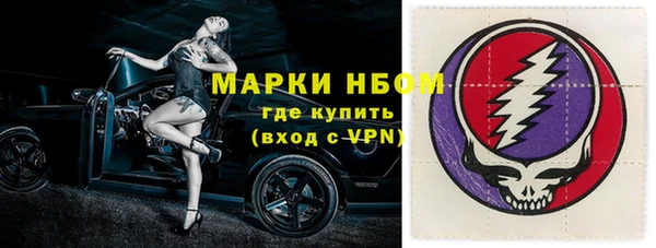 стафф Алзамай
