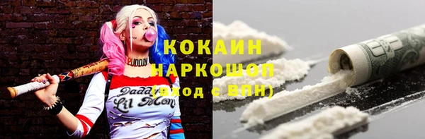 стафф Алзамай