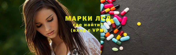 крисы Корсаков