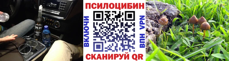 мега как войти  Курлово  Галлюциногенные грибы Cubensis 